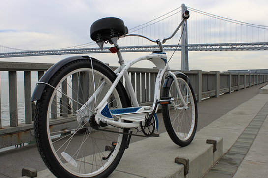 The Nature Conservancy Bike