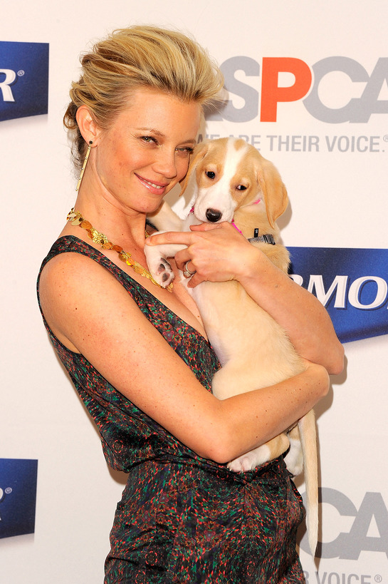 Amy Smart Helps Launch The ASPCA PetArmor Protection Promise