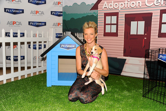Amy Smart Helps Launch The ASPCA PetArmor Protection Promise