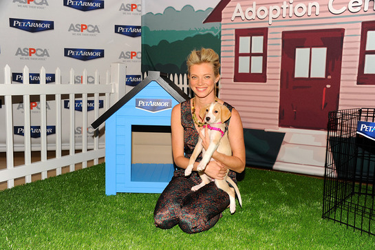 Amy Smart Helps Launch The ASPCA PetArmor Protection Promise Amy Smart Helps Launch The ASPCA PetArmor Protection Promise