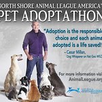 Cesar Millan Named As Spokesperson For Pet Adoptathon