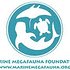 Photo: Foundation for the Protection of Marine Megafauna