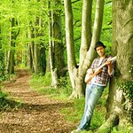 Stars Give Tree Top Troubadour A Boost