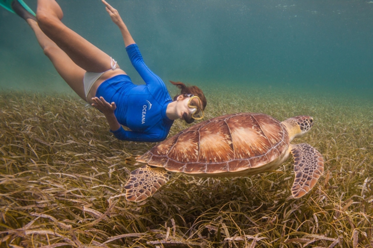 Kate swims with sea turtles in Belize