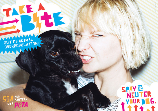 Sia's PETA ad