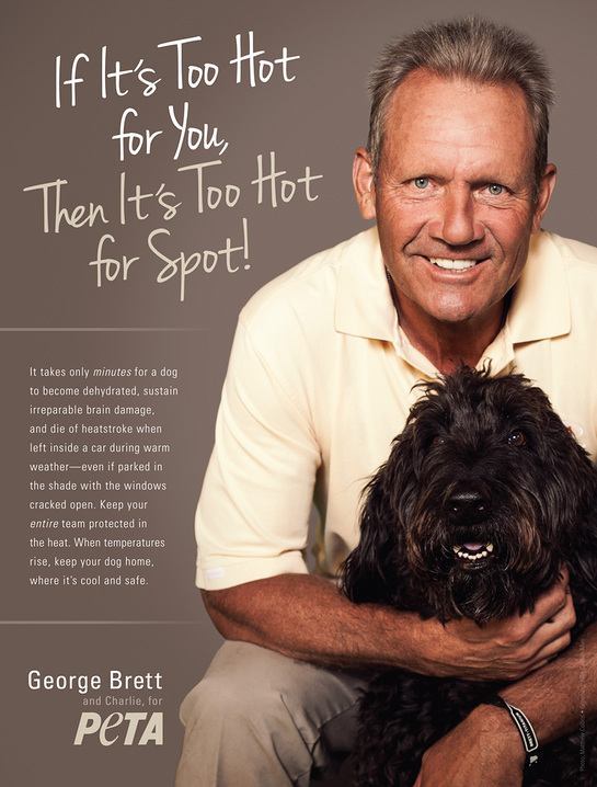 George Brett and PETA