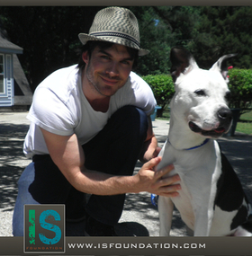 Ian Somerhalder and friend