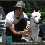 Ian Somerhalder To Take Part In Strut Your Mutt Event