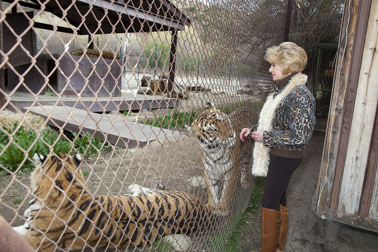 Tippi Hedren with Tigers