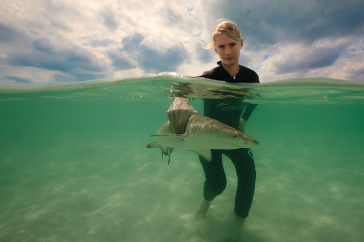 January Jones get's a hand on shark protection in the Bahamas
