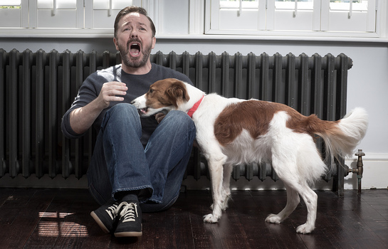 Ricky Gervais and Barney join WSPA's Red Collar Campaign