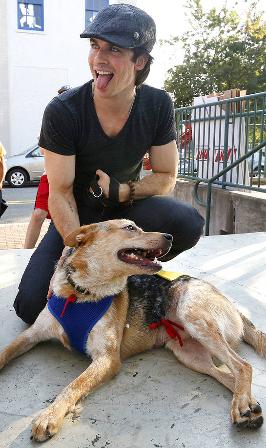 Ian Somerhalder and friend at the Strut Your Mutt event