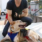 Photos: Ian Somerhalder Struts His Mutt