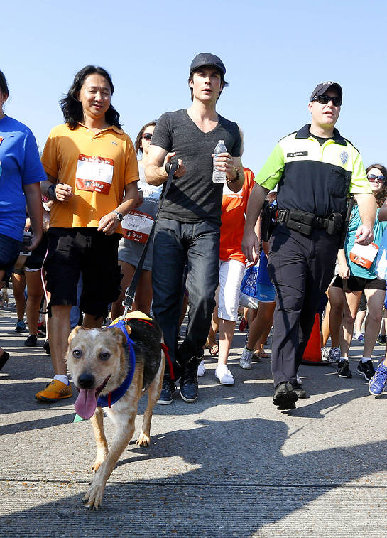 Ian Somerhalder Takes Part In Strut Your Mutt event