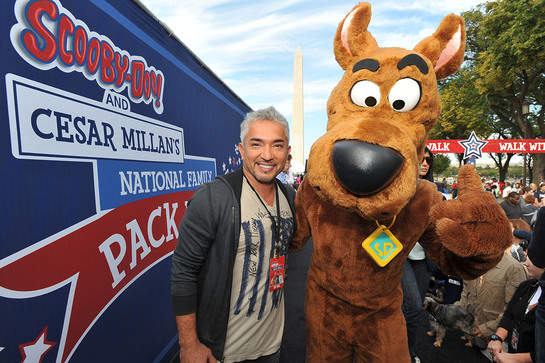 Cesar Millan and Scooby-Doo take over the National Mall at the Second Annual National Family Pack Walk Cesar Millan and Scooby-Doo take over the National Mall at the Second Annual National Family Pack Walk