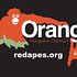 Photo: Orangutan Outreach