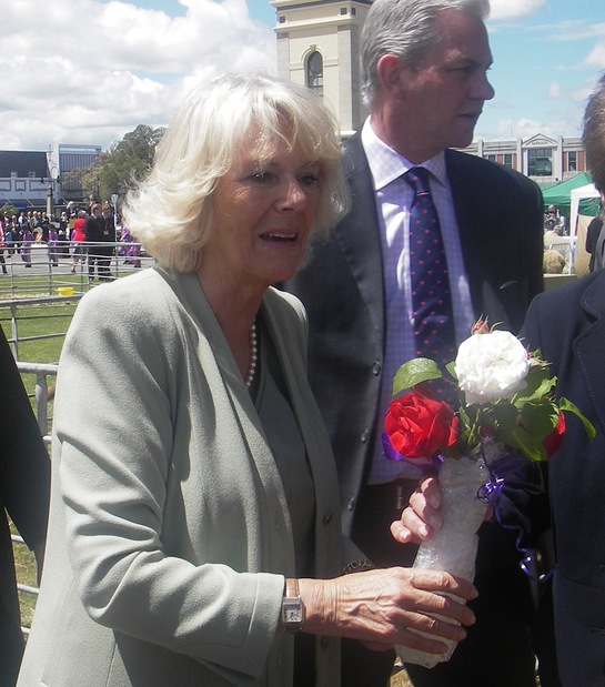 The Duchess of Cornwall In Feilding The Duchess of Cornwall In Feilding