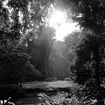 The Duchess Of Cambridge's Personal Photos Of Borneo