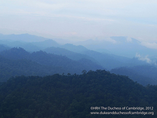 Photo of forested hills Photo of forested hills