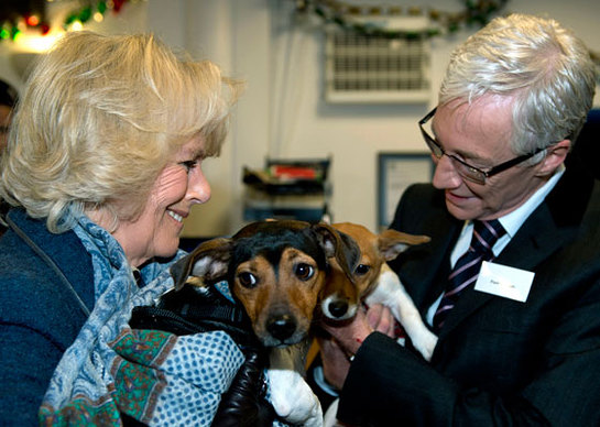 Duchess of Cornwall and Paul O'Grady at Battersea Dogs & Cats Home