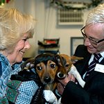 Duchess Of Cornwall Visits Battersea Dogs & Cats Home