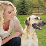 Katherine Heigl Launches Pet Products To Benefit Animal Welfare Programs