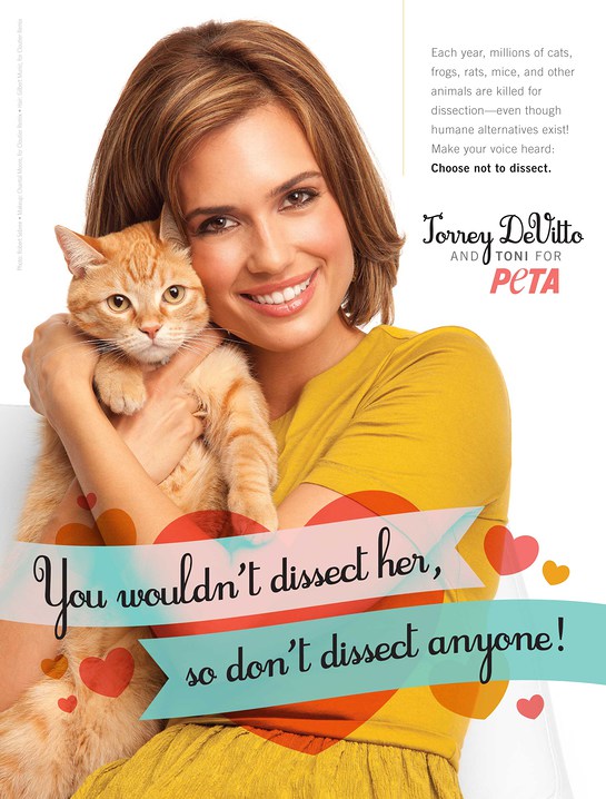 Torrey Devitto's New PETA Ad