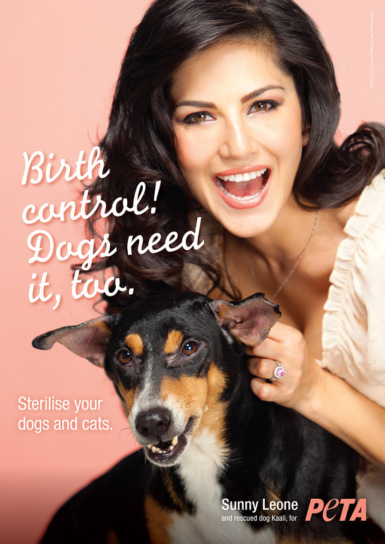 Sunny Leone: Birth Control, Dogs Need It Too - Look to the Stars