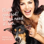 Sunny Leone: Birth Control, Dogs Need It Too