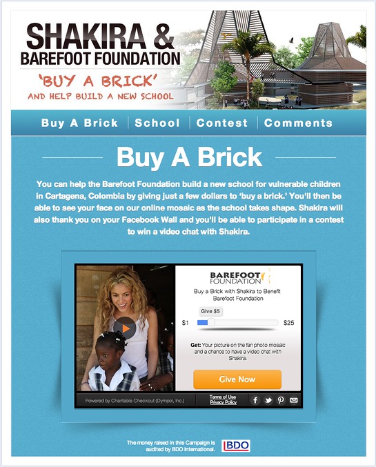 Shakira Buy-a-Brick