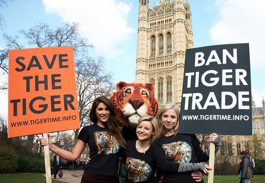 Lucy Pinder, Zara Boland, Sarah Jane Honeywell