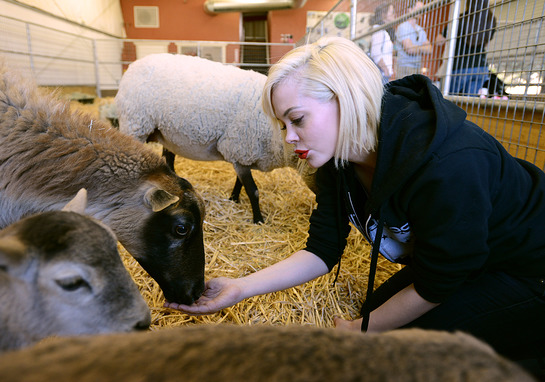 Rose McGowan Meets Sheep At The Gentle Barn