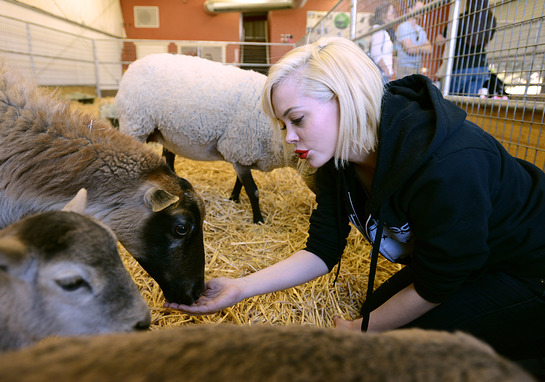 Rose McGowan Meets Sheep At The Gentle Barn Rose McGowan Meets Sheep At The Gentle Barn