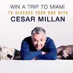 Your Chance To Discuss Your Dog With Cesar Millan