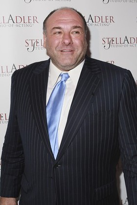 James Gandolfini at Stella by Starlight Gala