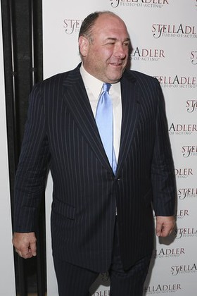 James Gandolfini Supports Stella by Starlight Gala