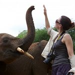 Help Kristin Davis Raise Money For Anti-Poaching Helicopter