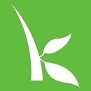 Kiva Kiva