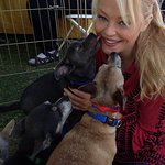 Stars Come Out For NKLA Animal Adoption Weekend