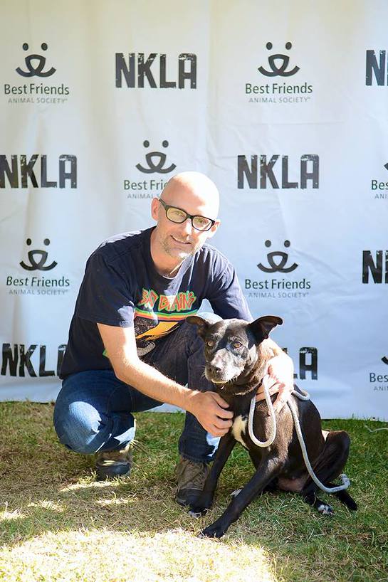 NKLA Adoption - Fall 2013 - Moby