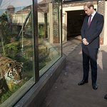 Prince Of Wales Joins Duke Of Cambridge For Tiger Conservation