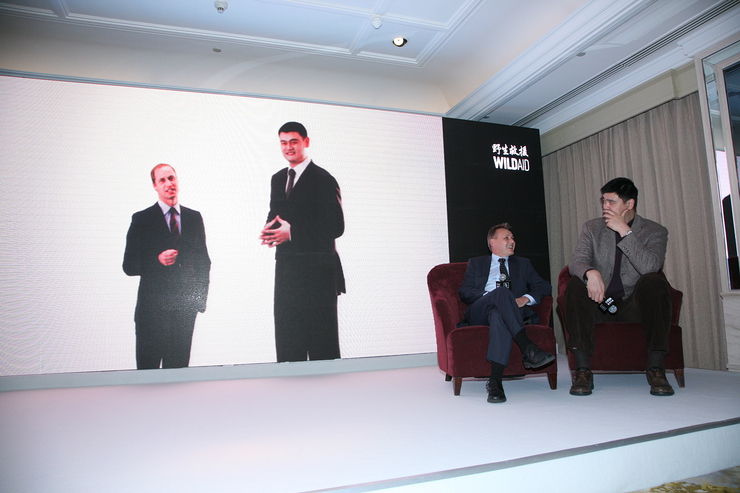Premiering the new WildAid PSA in Shanghai featuring The Duke of Cambridge, David Beckham, and Yao Ming. Seated are WildAid Executive Director Peter Knights and WildAid Ambassador Yao Ming.