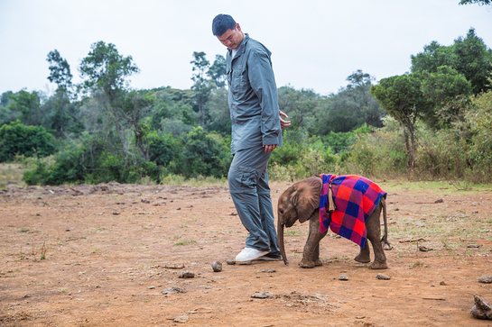 Yao Ming and an orphan elephant at the David Sheldrick Wildlife Trust.