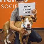 Moby Speaks Up For Shelter Pets