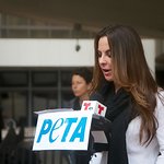 Kate Del Castillo Says No To The Circus