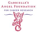 Gabrielle's Angel Foundation Gabrielle's Angel Foundation
