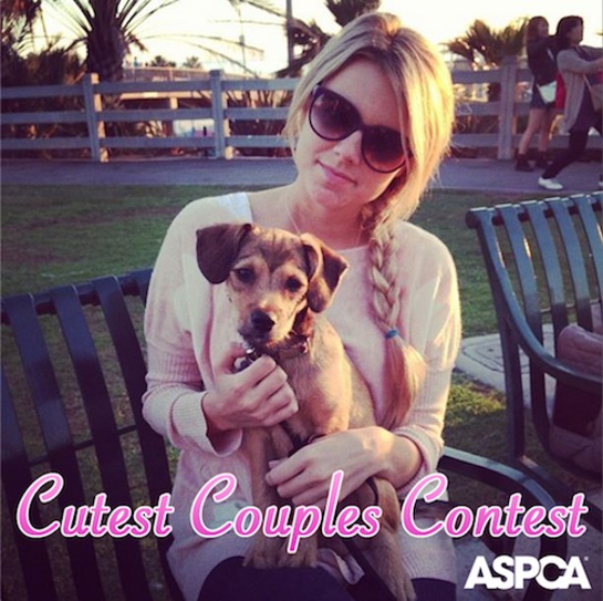 ASPCA and Ali Fedotowsky team up for Cutest Couples contest to promote shelter pets