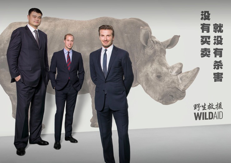 Yao Ming, Prince William and David Beckham behind the scenes of WildAid's Whole World Message