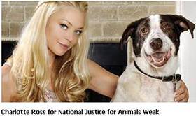 Charlotte Ross For National Justice for Animals Week