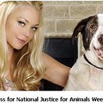 Charlotte Ross Supports National Justice For Animals Week